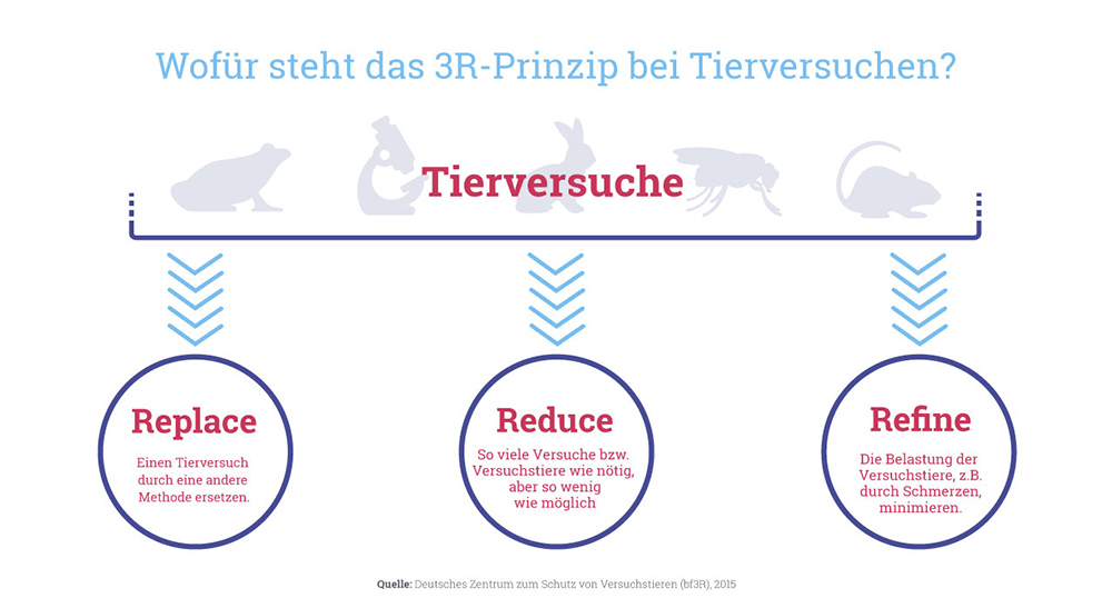 Stärkung des Tierschutzes