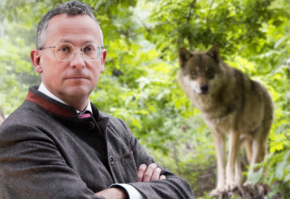 Sofortprogramm für den Wolf ist eine Mogelpackung