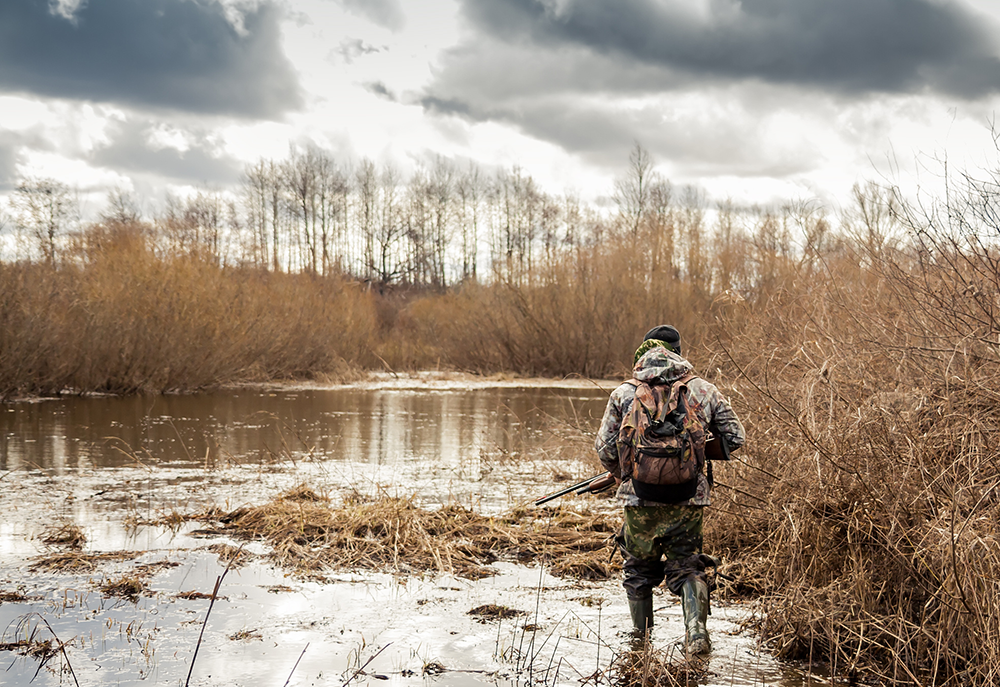 Jagd: Bleischrotverbot in Feuchtgebieten