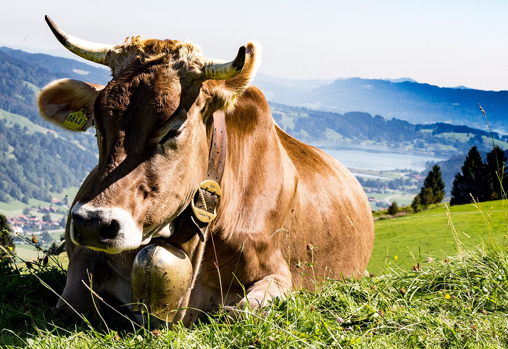 Landwirte fordern Entschuldigung