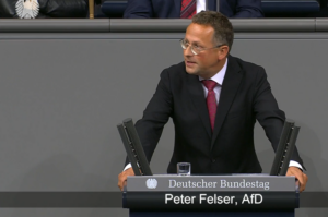 Funktionen von MdB Peter Felser