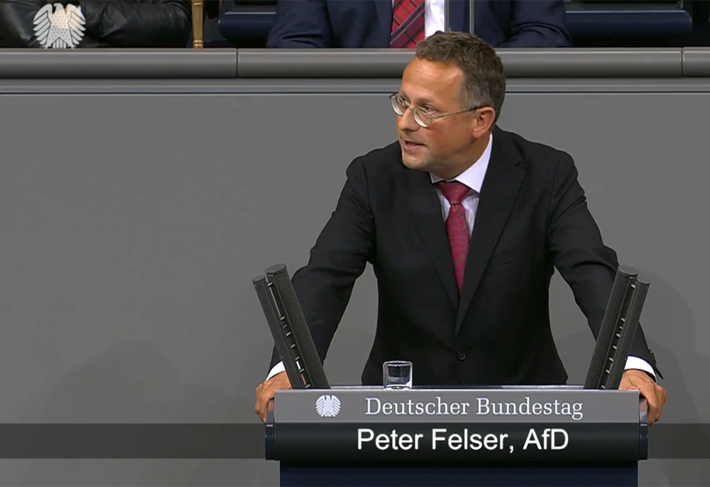 Funktionen von MdB Peter Felser