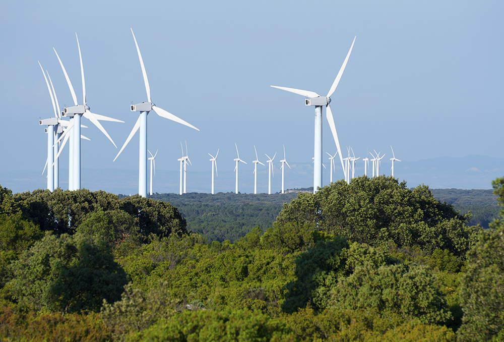 Windkraftanlagen zerstören die Natur