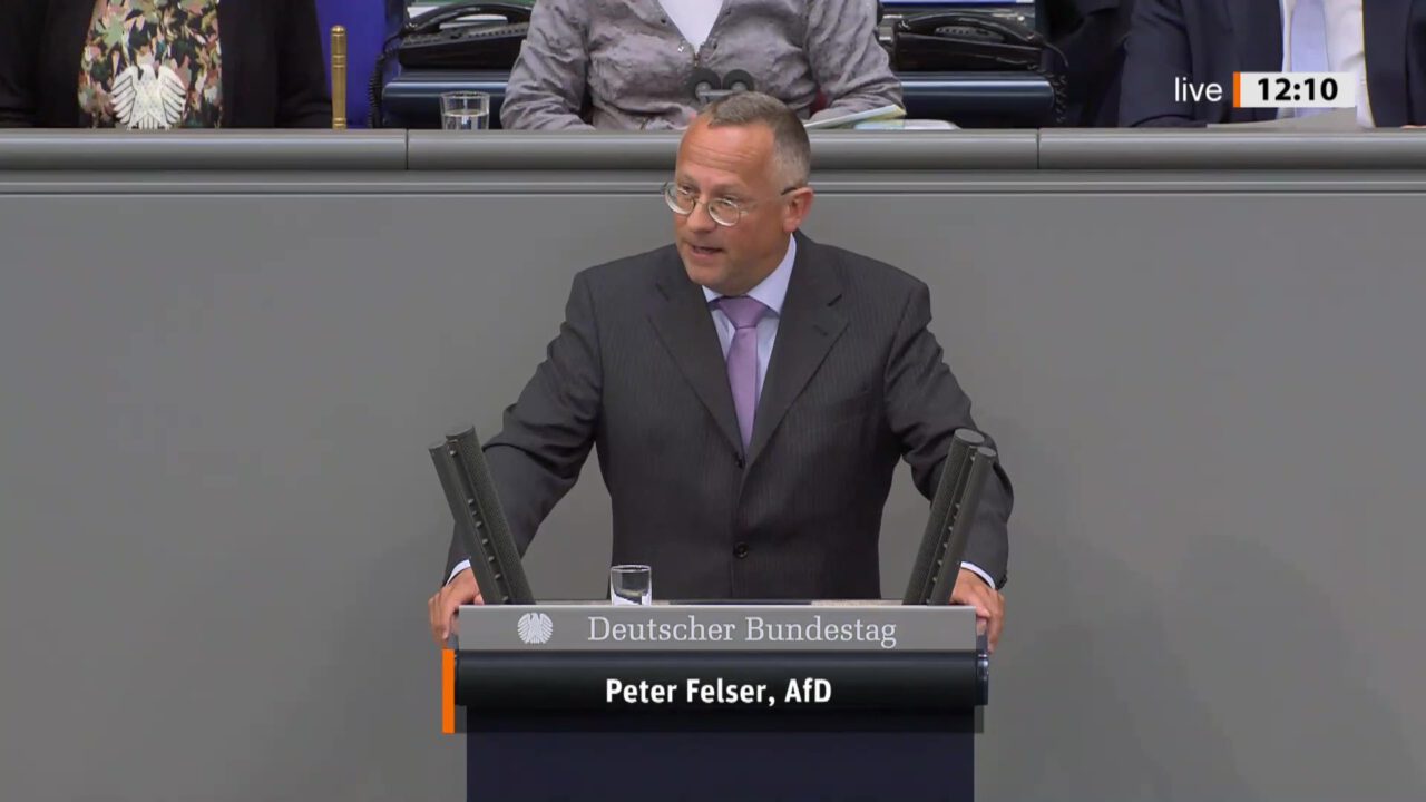 Diesen Fragen stellt sich die AfD