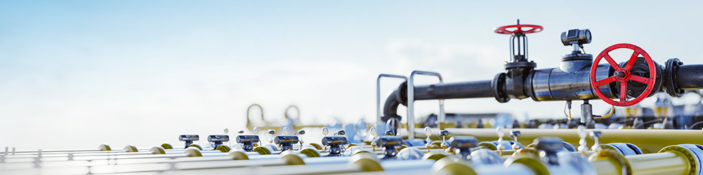 Positionspapier für Wohlstand und Sicherheit