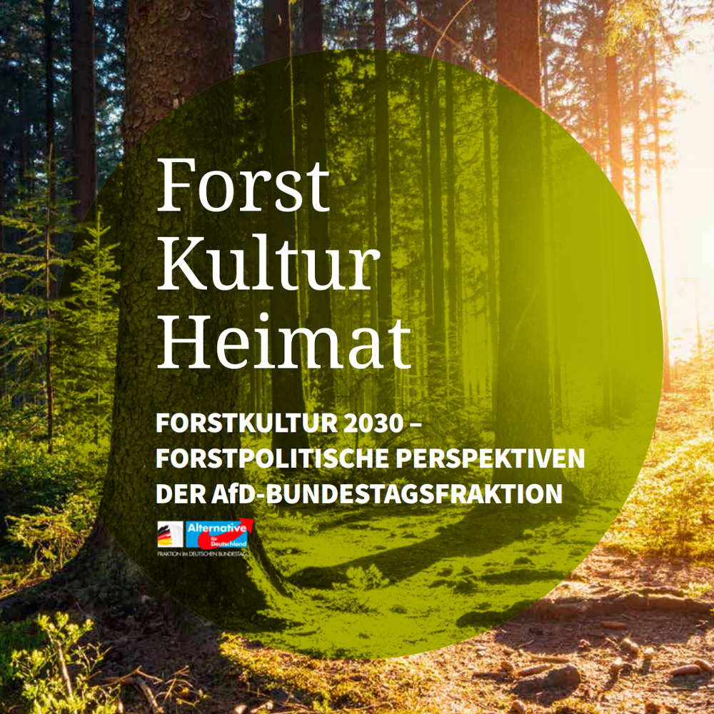 Forst, Kultur, Heimat